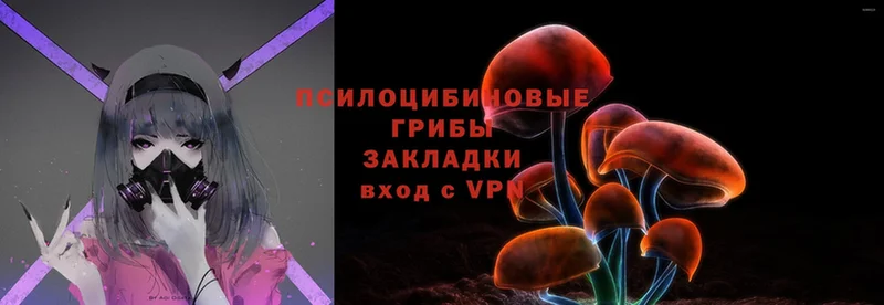 Галлюциногенные грибы MAGIC MUSHROOMS  Кинель 